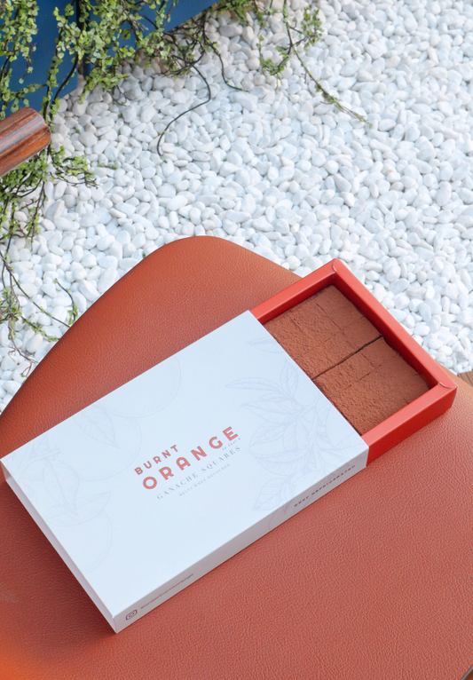 Belgian Chocolate Ganache Squares